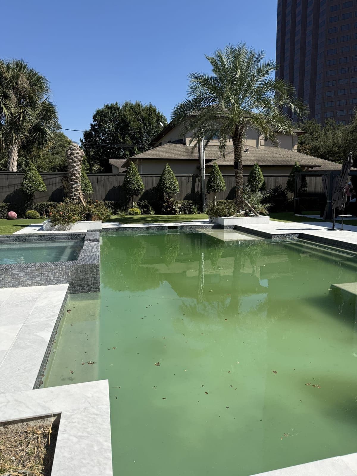 Algae-green residential pool before Trident recovery at a Greater Nashville residence